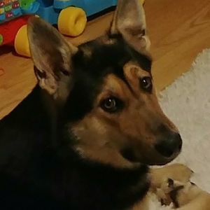 Meet your Posher, Sherry